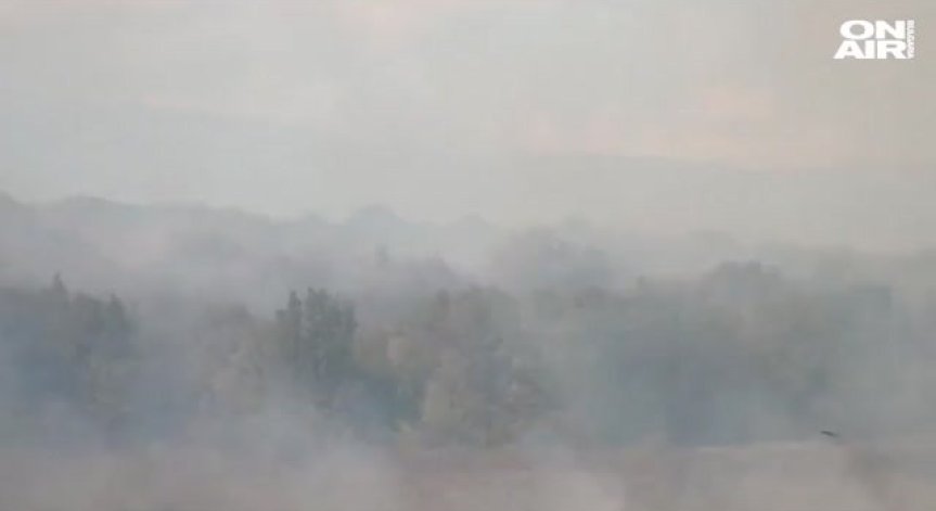 Пожар край Хасковско застрашава да изпепели борова гора