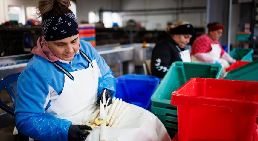 Възмущение в Германия.