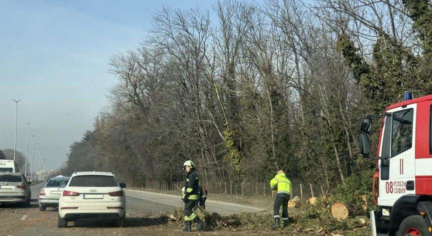 В платното към центъра се образува голяма тапа.