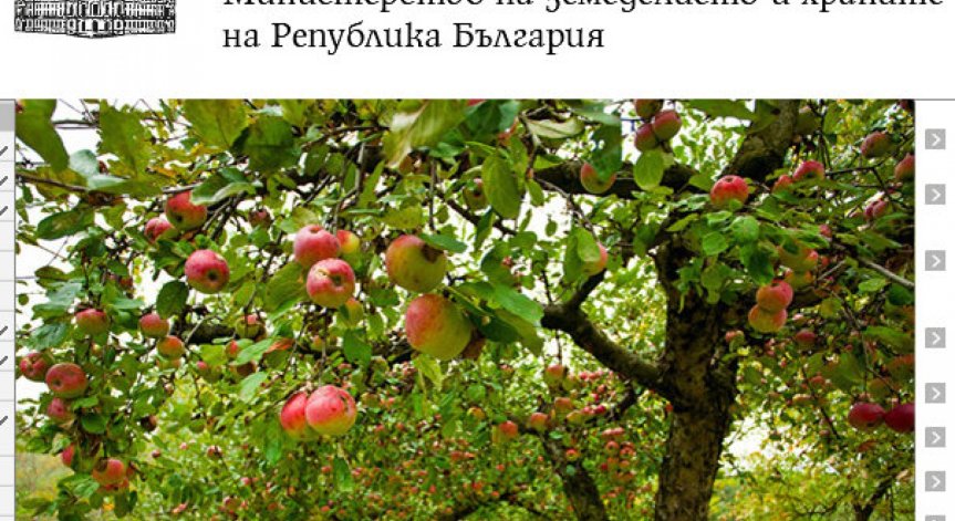 УС на ДФ Земеделие освободи директора и заместника му