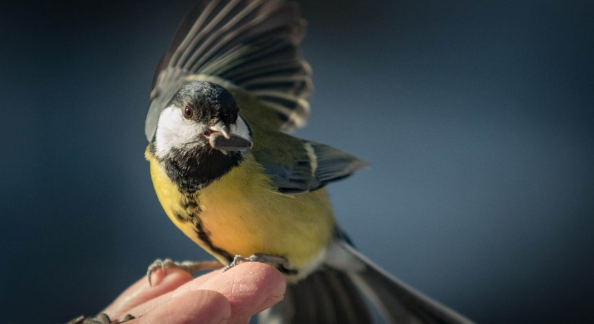 Времето в събота: Облаци, вятър и хладен въздух