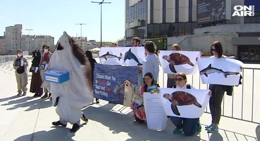 Екозащитници на протест пред НДК: Искат по-чист въздух и морета