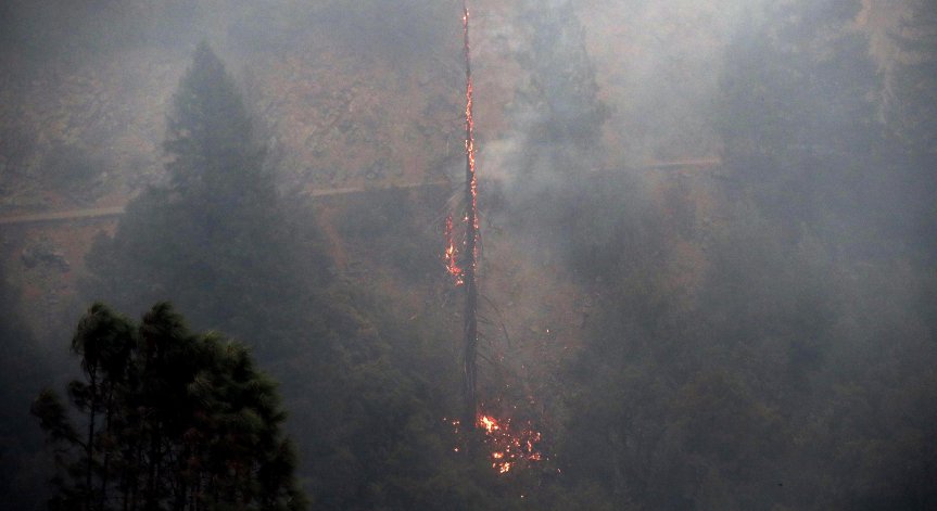 Огромен горски пожар пламна в резервата 