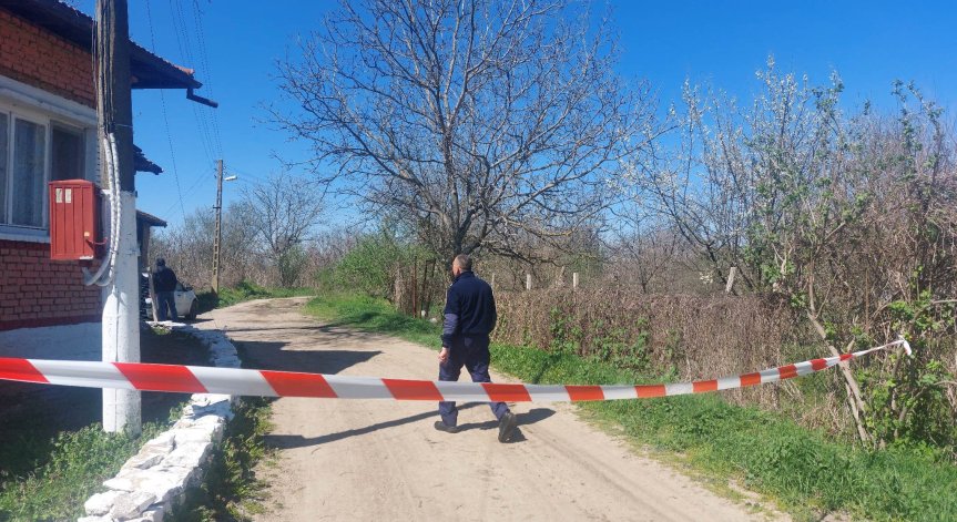 Съдът решава съдбата на гледача на кучетата, разкъсали жена