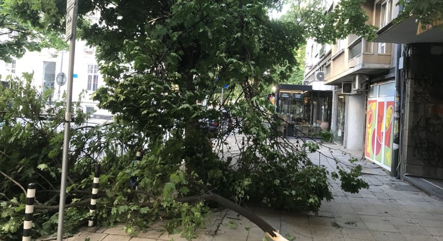 Мощна буря връхлетя София, аварийните екипи работят интензивно