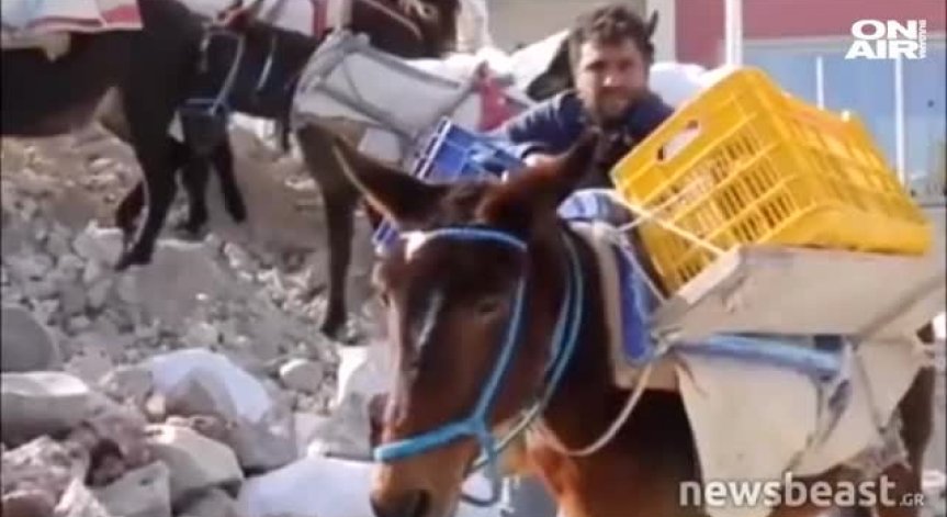 Магаретата на остров Санторини със специална защита