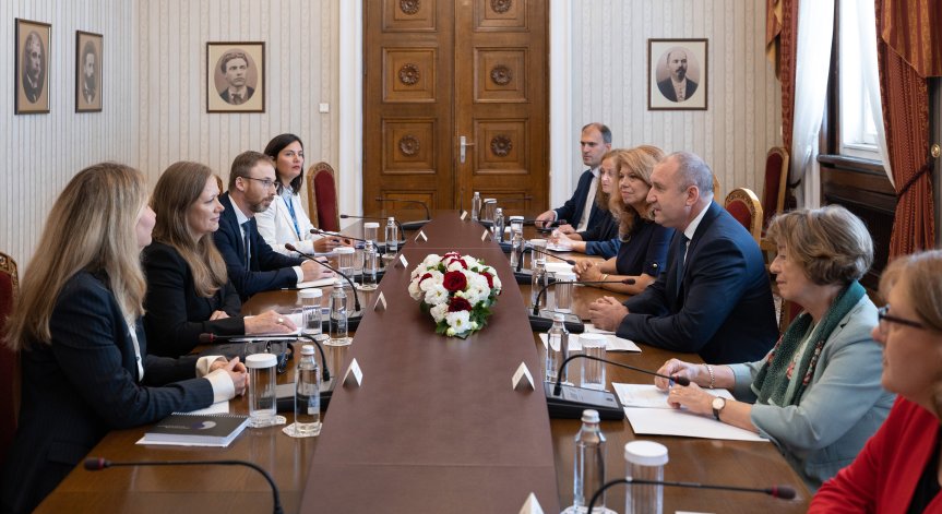 Радев пред външните наблюдатели на вота: Трябва ни работещ парламент с дългосрочен хоризонт