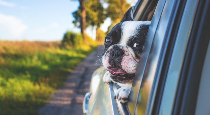 Защо не трябва да шофираме с отворени прозорци?