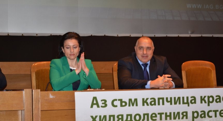 Различно управление на горите обеща земеделският министър