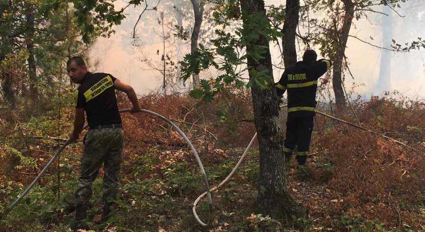Голям пожар бушува край хасковското с. Брягово