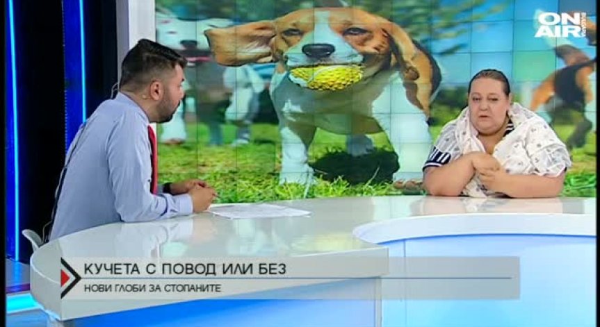 Намордникът е опасен за кучетата
