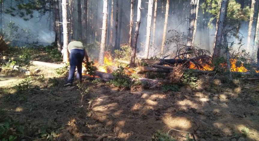 Заради жегата и вятъра: Пожарът над село Виден пламна отново