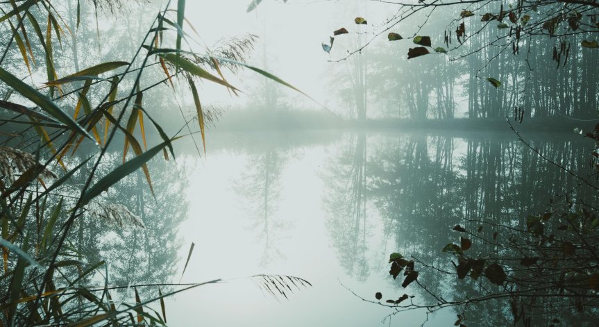 Простото обяснение е природен феномен.