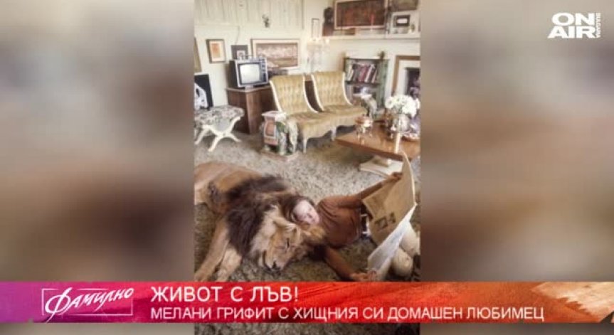 Да отраснеш с лъв: Историята на Типи Хедрън