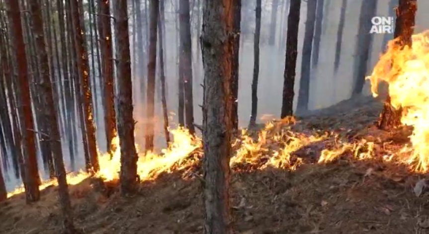Пожарът в Кресна обхвана 15 хил. дка., опасността остава!