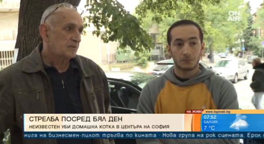 Жестокост: Неизвестен стреля по домашни любимци в центъра на София