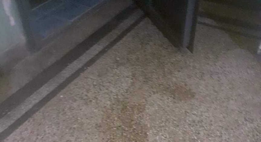 От Варна: Агресивно куче задоволява нуждите си в блока и тормози живущите