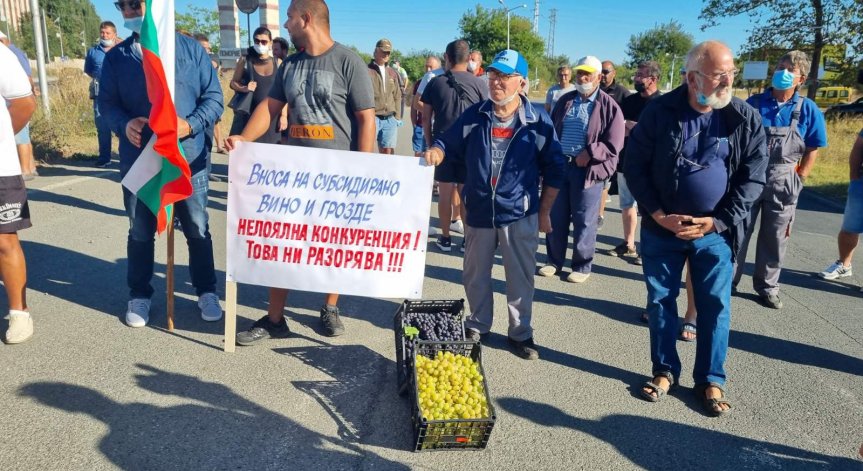 Лозари на протест, искат 60 млн. лв. за сектора. Готвят блокади в Северозапада