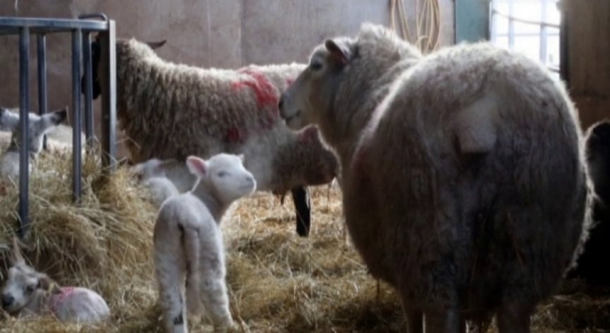 Bulgaria ON AIR, Архив