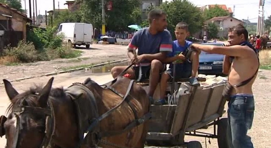 Протест срещу каруците в София: Не на насилието над животни