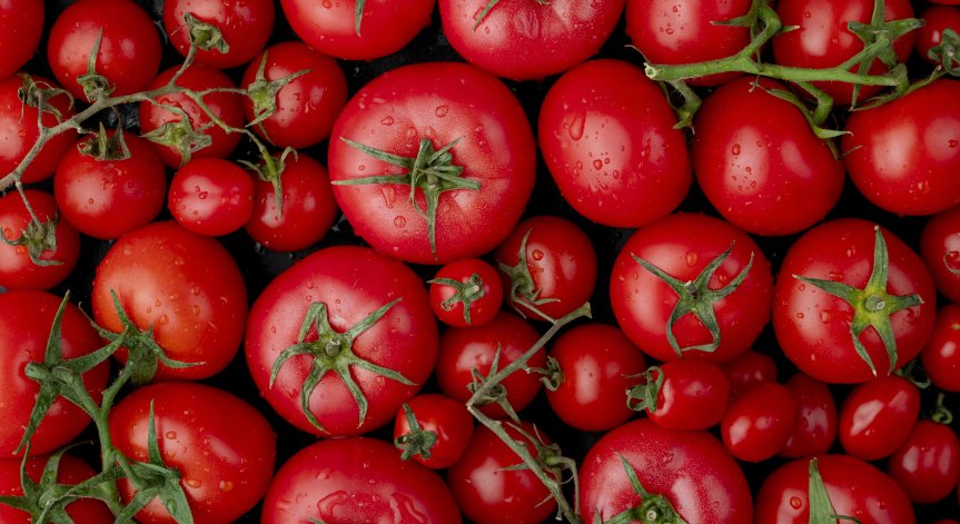 Освен за мъжкото здраве, доматите могат да имат ползи и за жените.