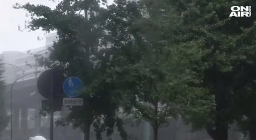 Bulgaria ON AIR, Архив