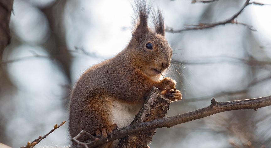 Слънчево време и пролетни температури ни очакват и днес