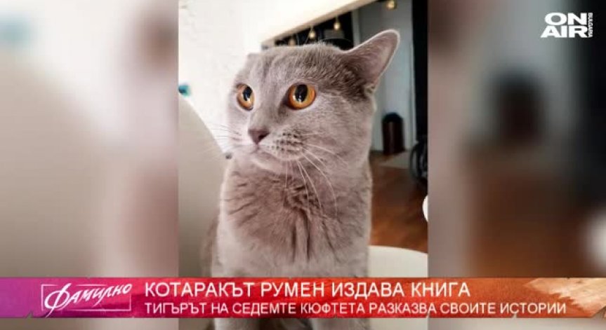 Котаракът Румен издава книга!