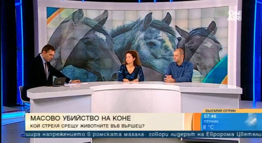 От боготворящи конете, до разстрелващи ги… Къде сбъркахме?