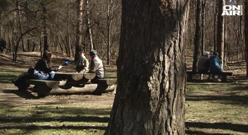 В Международния ден на хората със синдром на Даун