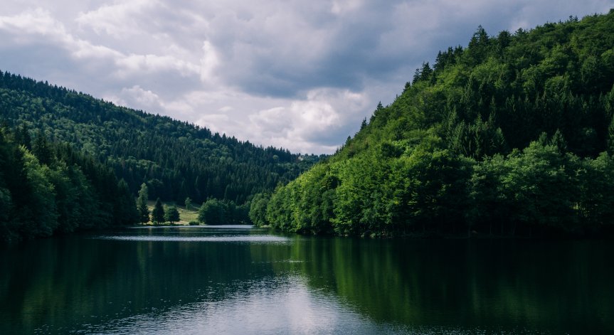 Явлението е изключително рядко за региона.