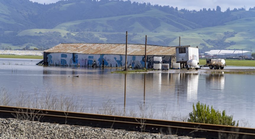 Над 100 000 са без ток след буря в Калифорния, повече от 20 души са загинали