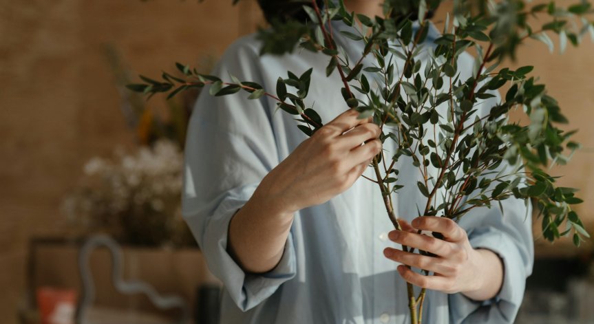 Как се прави мълчана вода на Еньовден и защо е важно да наберем свежи билки?