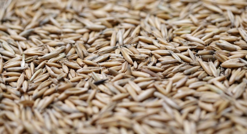 Цените падат: Пшеница, олио, мляко поевтиняват на световните пазари