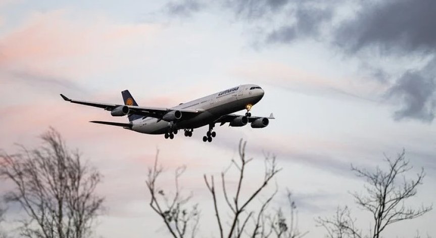 Lufthansa доставя 80 тона плодове и зеленчуци на Великобритания