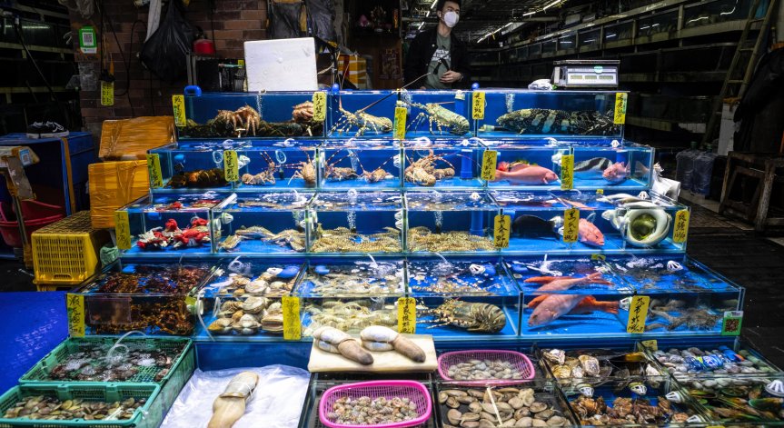 Нулевият пациент с коронавирус - продавачка на стриди на пазара в Ухан