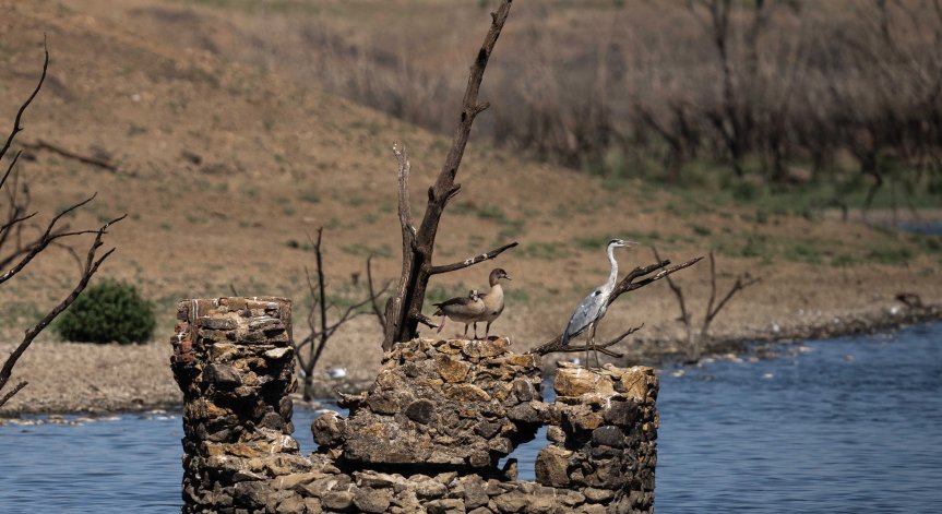 Каталуния обяви извънредно положение заради сушата