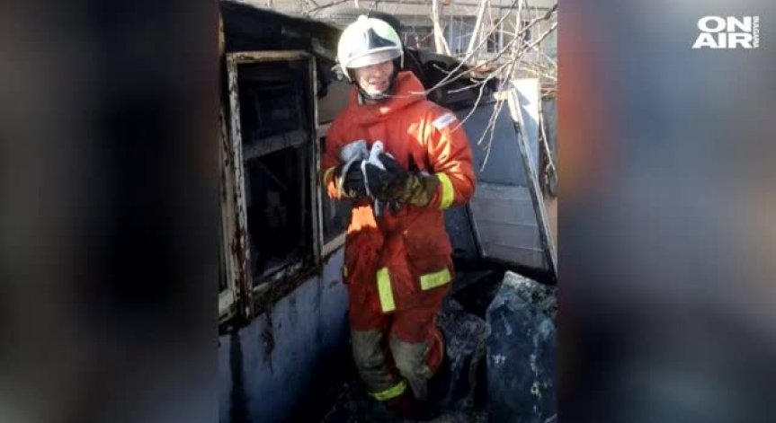 Пожарникар от Царево спаси гълъби от огнен капан