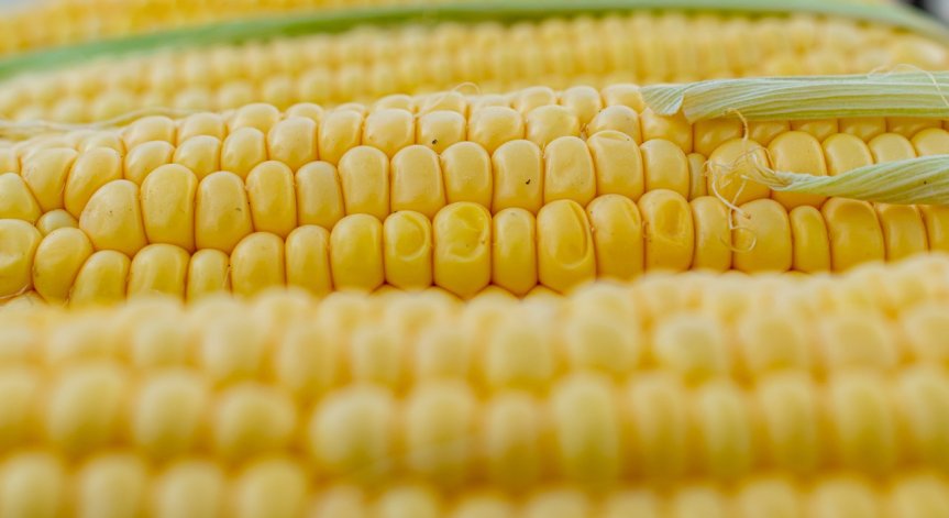 С кои зеленчуци трябва да внимаваме при хранене?