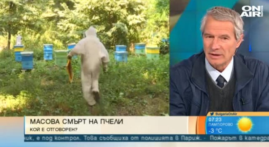 Пестицидите - основна причината за смъртността при пчелите