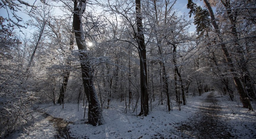 Жълт код за студ и мраз.