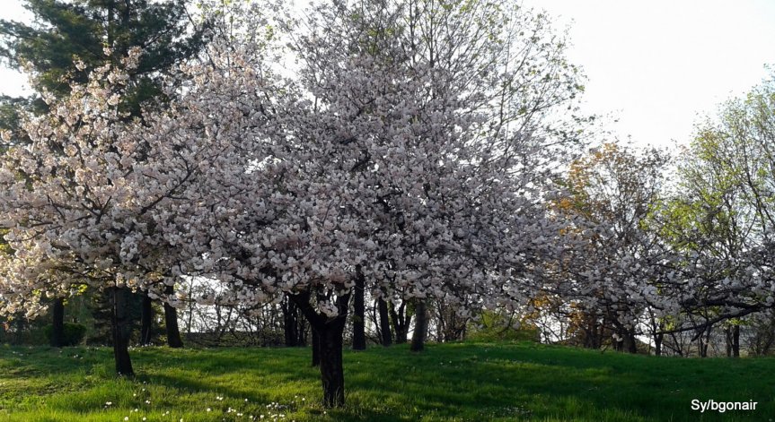 Затоплянето на климата дори с 2 градуса носи наводнения
