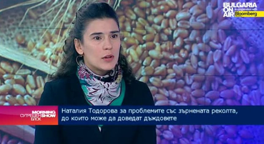Вече се сключват сделки на зелено за 300-310 лв на тон пшеница