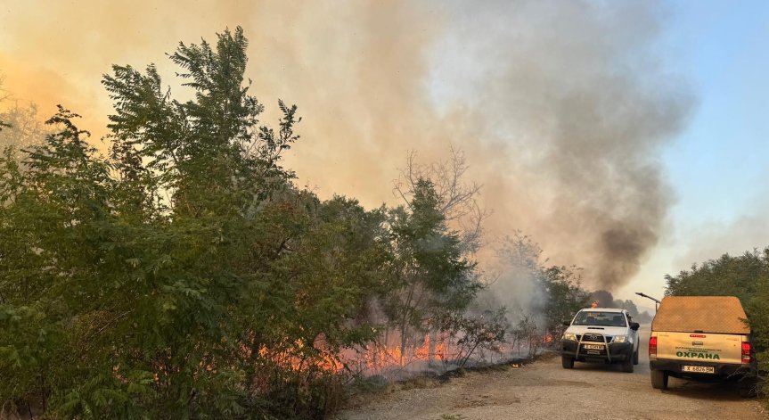 Огънят възникна вчера следобед.