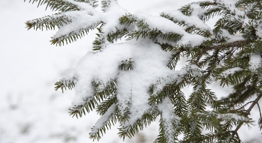 Синоптиците прогнозират, че предстоящата нощ ще е още по-студена.