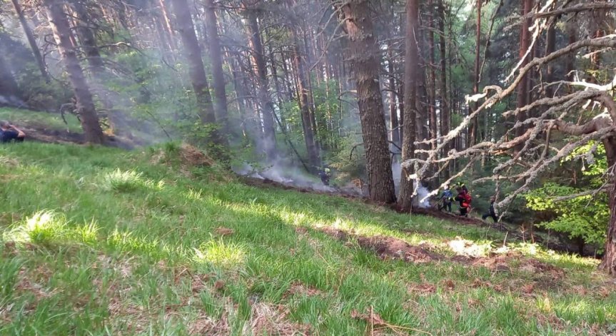 Вятър разшири пожарите в Рила, гасят ги само на ръка