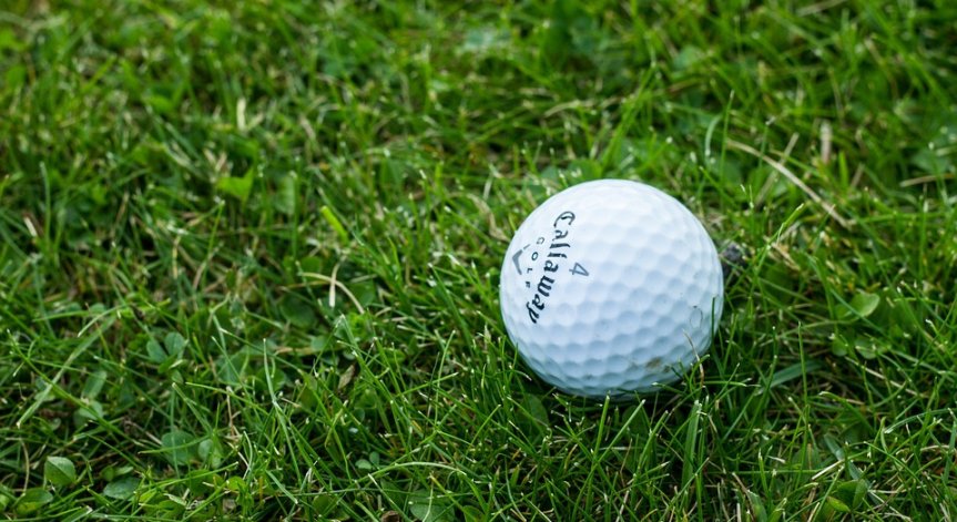 С какво Елин Пелин привлича инвеститорите?