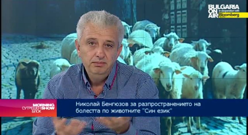 Заболяването „Син език“ не е опасно за хората, коментира ветеринарен лекар