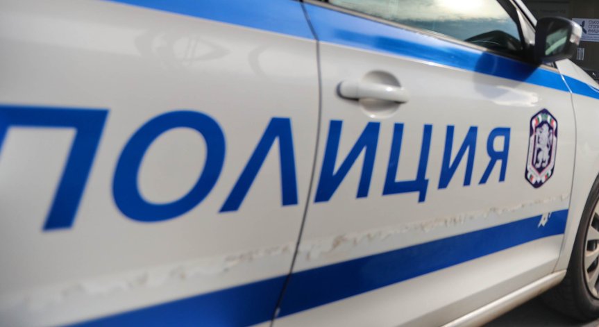 Задържаха двама крадци в столичния 