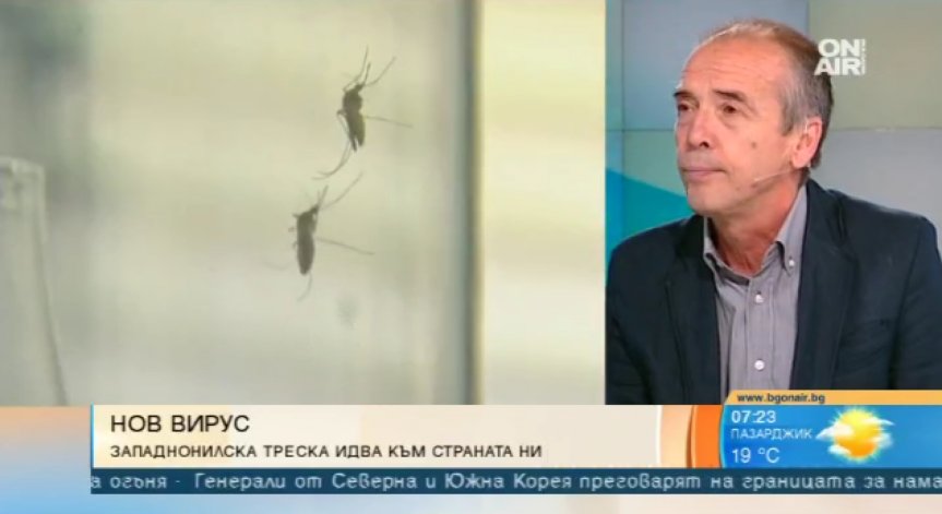 Ако има западнонилска треска у нас, случаите са единични, обясни доц. Мангъров